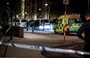 Szwecja: Rekordowa liczba 15-letnich morderców