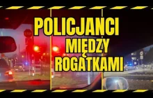 Policja ignoruje czerwone światła i przejeżdża przez przejazd kolejowy.