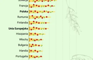 Hawajska coraz droższa. Ceny pizzy rosną w całej UE i Polska nie jest wyjątkiem