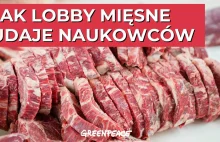 Śledztwo Greenpeace. Tak lobby mięsne udaje naukowców