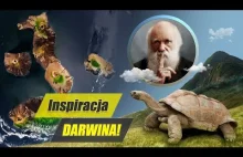 Wyspy GALAPAGOS - cud NATURY, inspiracja DARWINA!