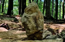 Bukowa Góra to polskie Stonehenge. Tajemnicze głazy wyglądają jak Yoda