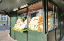 Kraków. Kiosk opanowała pluszowa gęś - to już jest szaleństwo