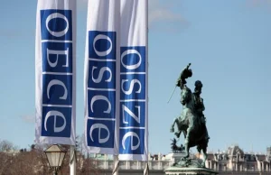 Skandal podczas sesji OBWE w Wiedniu. To hańba!. Protest przeciw obecności Rosja