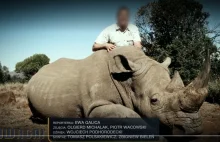 Myśliwi polowali w Afryce na nosorożce. Kto na tym zarabiał?