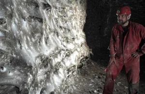 Albania, największa na świecie sieć pajęcza odkryta w jaskini.