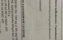 Grupa Pomoc finansowa