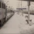 Rzepin. Koszmarna podróż koleją do Berlina. 30 godzin w pociągu - Polsat News