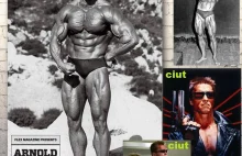 Niezwykle ciekawy apel do ministra Sikorskiego