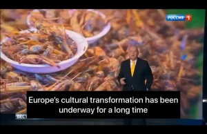 PiS powiela rosyjskiego fejka o jedzeniu robaków w Europie
