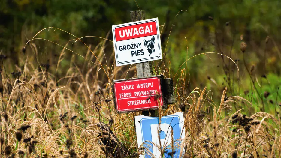 Właściciel psów, które pogryzły śmiertelnie 46-latka zatrzymany