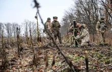 Wojna w Ukrainie. Na okupowanych terenach Rosjanie prowadzą nielegalną wycinkę