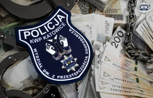 Internetowy kantor oszukiwał ludzi. Straty na prawie 6 mln zł