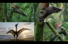 Krótki program o pterozaurach