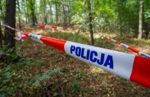 Bydgoszcz: Tajemnicy obiekt w lesie. Na miejscu pojawili się saperzy i policja