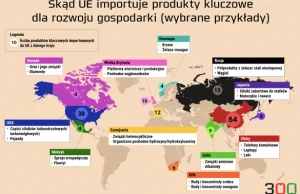 Fatalne uzależnienie. 204 produkty z importu mogą sparaliżować gospodarkę UE