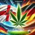 Zioło zamiast piwa: Niemiecka policja zaleca marihuanę kibicom na Euro 2024