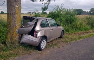 Odpowie za umyślne doprowadzenie do wypadku