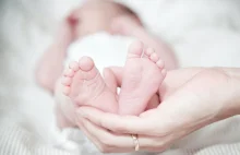 Pierwsze dziecko z DNA trzech osób urodzone w Wielkiej Brytanii!