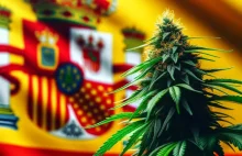 Rząd Hiszpanii ustala nowe przepisy dla pacjentów medycznej marihuany