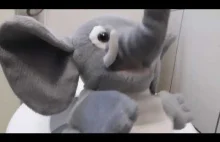 Słoń tańczy Skibidi Toilet