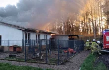 Pożar schroniska dla zwierząt Bubinkowo w Obłężu. Trwa zbiórka na odbudowę