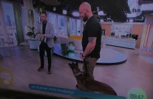 Upadek społeczeństwa, psy ważniejsze niż ludzie