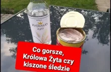 Kiszony sleds- jak smakuje i ile kosztuje?