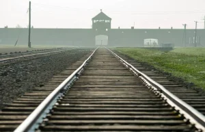 Oświęcim. Starostwo bada, czy budka z lodami w pobliżu b. KL Birkenau może dział