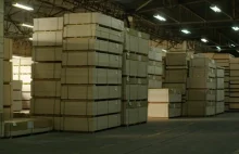 Krwawa sklejka brzozowa z Rosji, Superwizjer TVN.