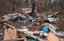 Tak wygląda las, gdy ekolodzy się wyprowadzają