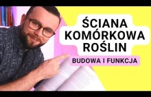 Budowa ściany komórkowej roślin i jej funkcja