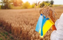 Ukraińcy radzą polskim rolnikom: Zamiast zbóż lepiej posadźcie se marihuanę
