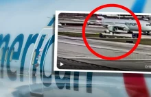 Dreamliner American Airlines wciągnął kontener z ładunkiem do silnika [VIDEO]