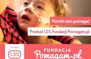 Świąteczna zbiórka na karmę dla kociaków - Pomagam.pl