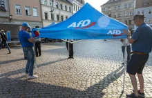 Niemcy: AfD z rekordowym poparciem w Niemczech.