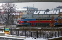 Czesi biją na alarm. Grzyb z Azji zagraża pociągom