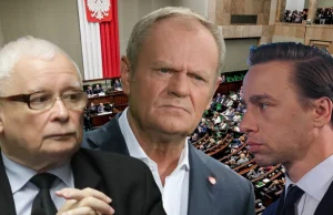 Konfederacja trzecią siłą? Nowy sondaż nie pozostawia złudzeń