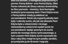 Pamięta ktoś jeszcze suczkę ze szczeniakami przywiązaną do drzewa w lesie?