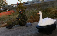 Kaczka idzie na ruszt czyli jak się ubija innowacje - komentarz