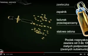 USA pod ostrzałem obrońców praw człowieka: nie dostarczajcie tej amunicji