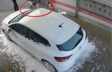 Na myjni samochodowej "umył" psa. Świadkowie nie popuścili