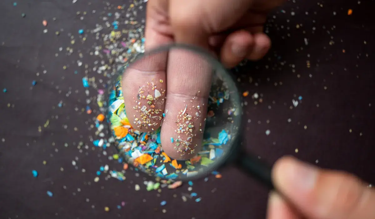 Mamy plastikową łyżkę w mózgu i nie jest to metafora