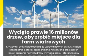 Wycięto prawie 16 milionów drzew, aby zrobić miejsce dla farm wiatrowych