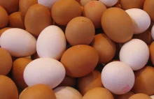 Jaja z ukraińskich ferm klatkowych trafiają do UE jako "eko"