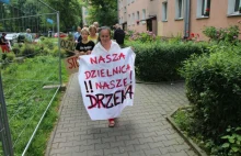 Kraków. Walka o drzewa. Mieszkańcy próbują wstrzymać wycinkę