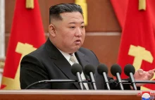 Korea Północna wybrana do zarządu WHO.