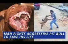 Mężczyzna musiał bronić się przez atakiem agresywnego psa.