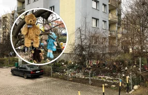 Co robią lalki i misie na skwerku we Wrocławiu?