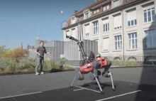 Już niedługo pójdziemy do parku z psem-robotem zagrać w badmintona